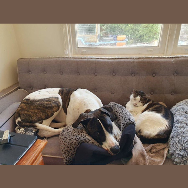 Photo of May Applegate