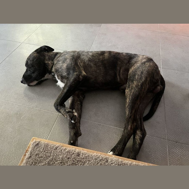 Photo of Conway Babbington