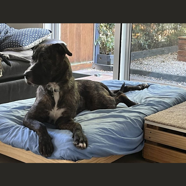 Photo of Conway Babbington