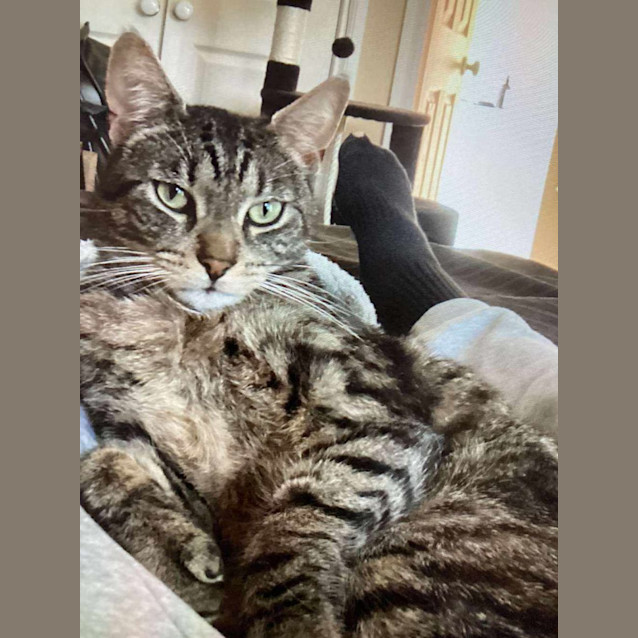 Photo of Cooper