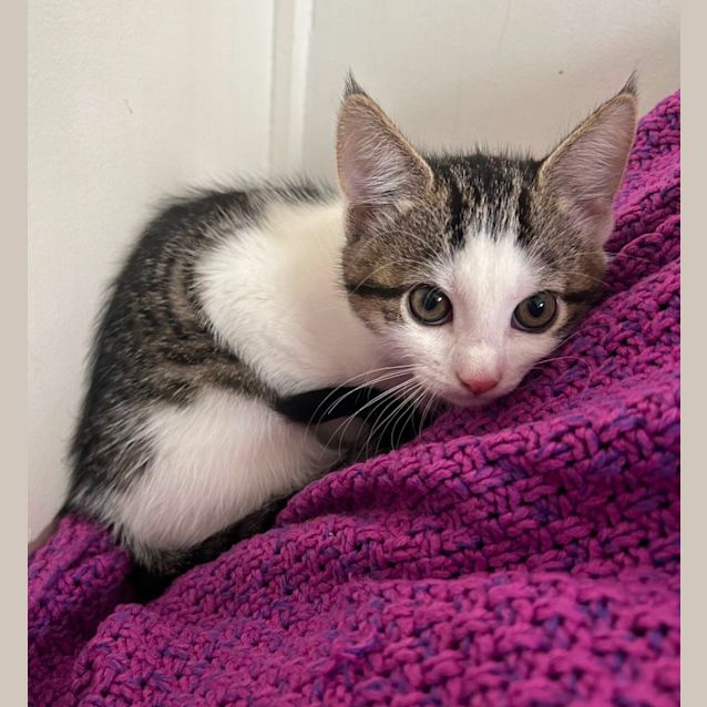 Photo of ❤️ Angus ❤️