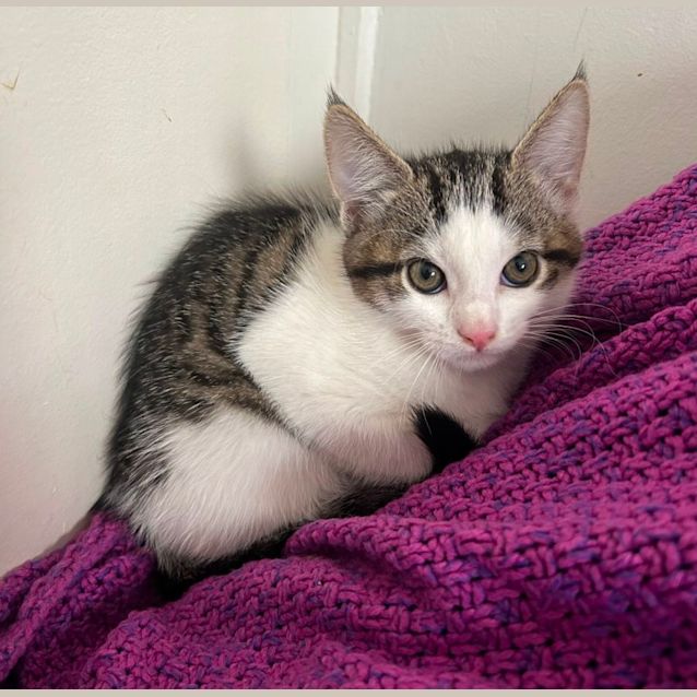 Photo of ❤️ Angus ❤️