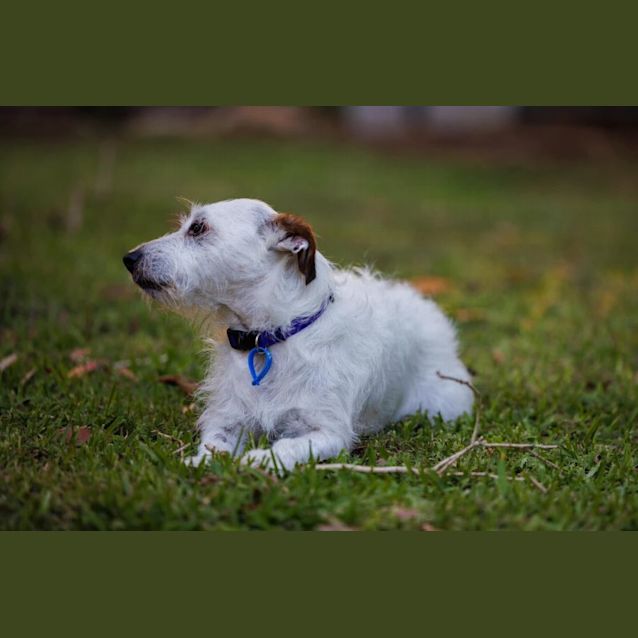 Photo of Gus