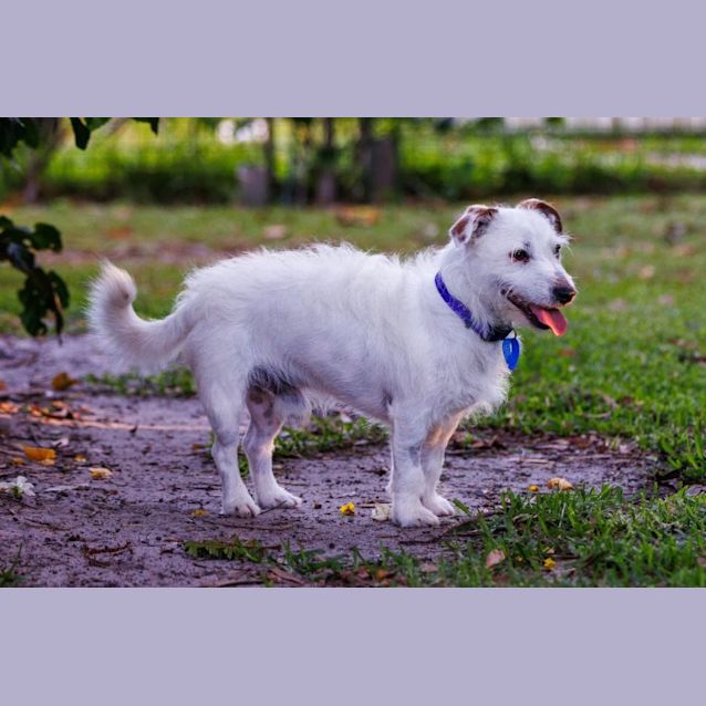 Photo of Gus