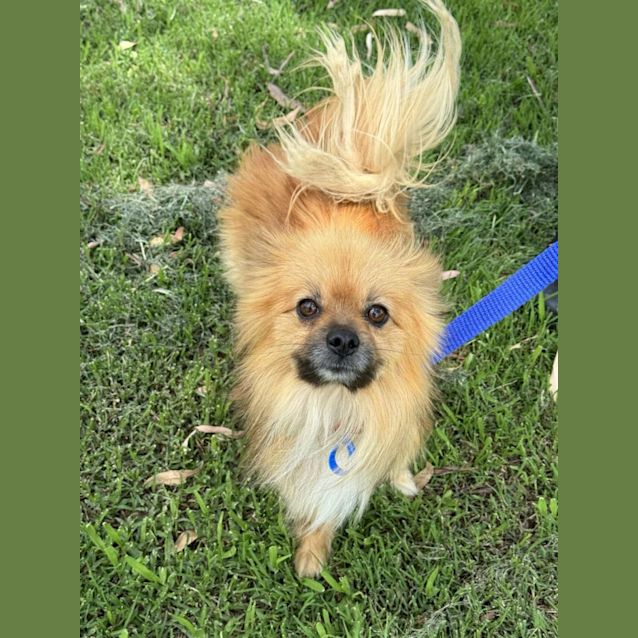 Photo of Loki
