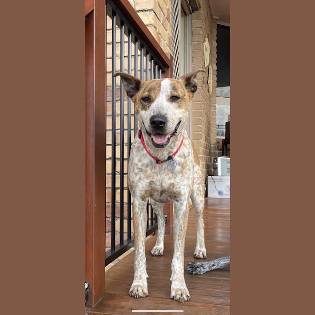 Photo of Tasha