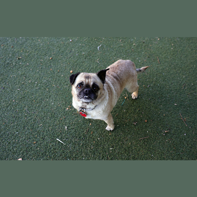 Photo of Kiki