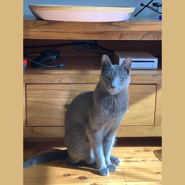 Photo of Frankie