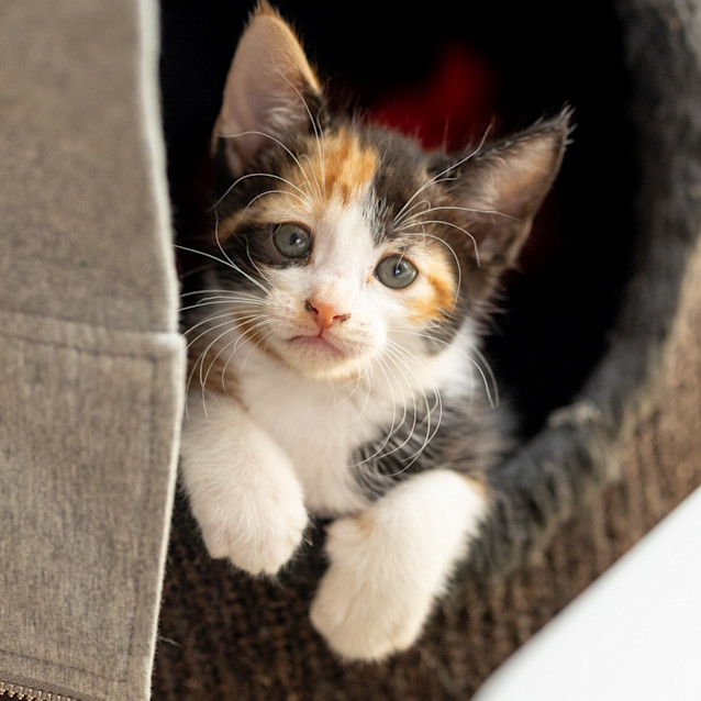 Photo of Evie