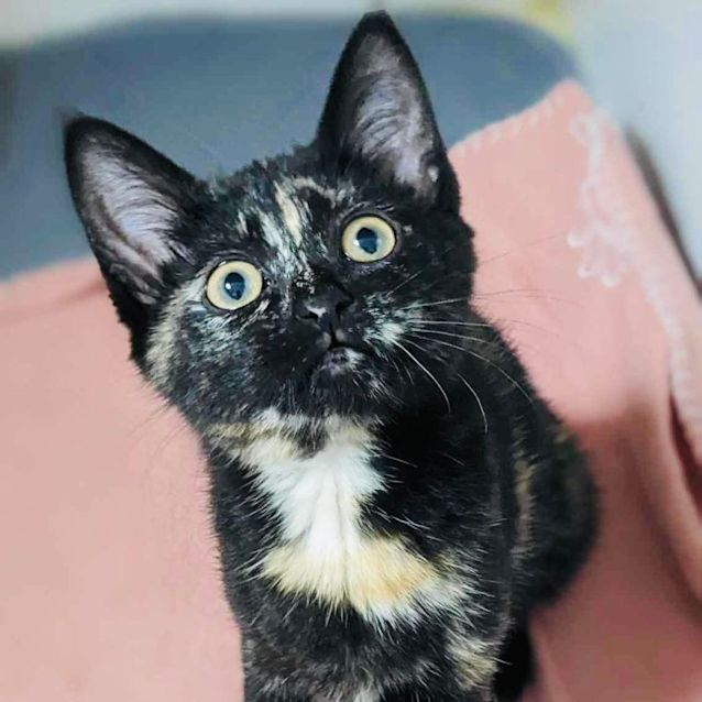 Photo of Toast   Located In Preston