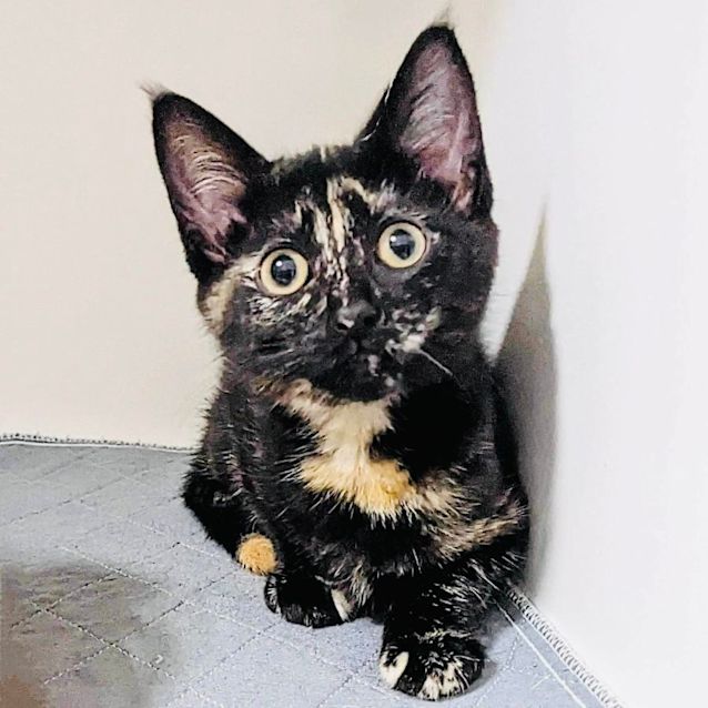 Photo of Toast   Located In Preston