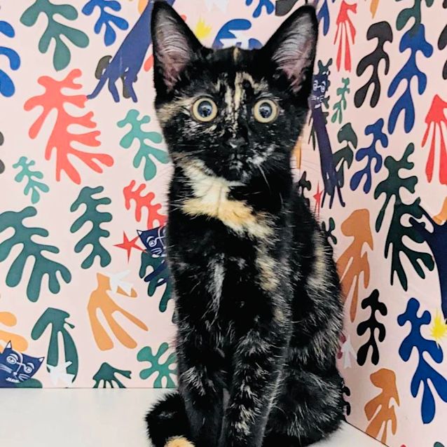 Photo of Toast   Located In Preston