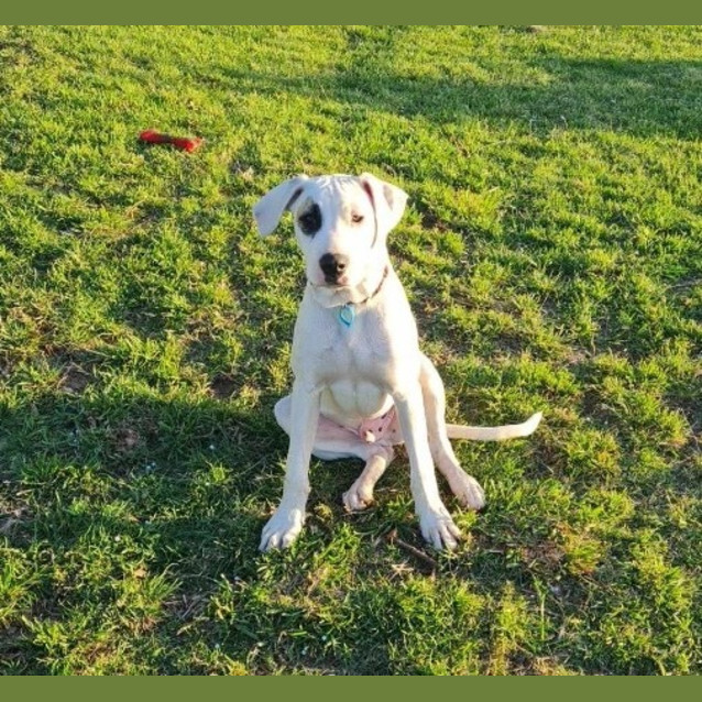 Photo of Patch