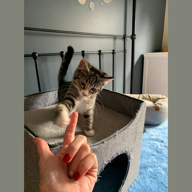 Photo of Boots
