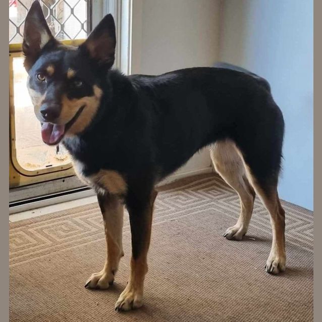 Photo of Chilli
