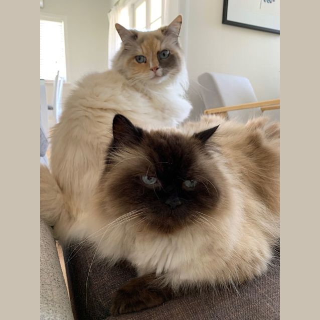 Photo of Kingsley & Tonks