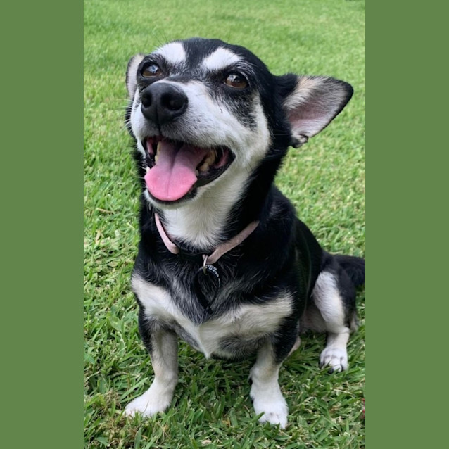 Photo of Lucy