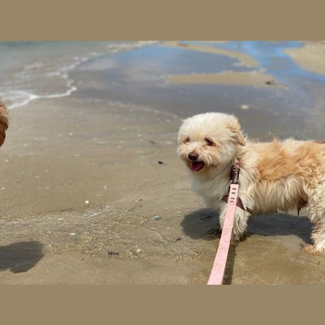 Photo of Rex Babbington