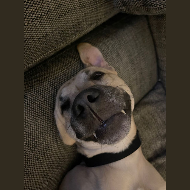 Photo of Rez