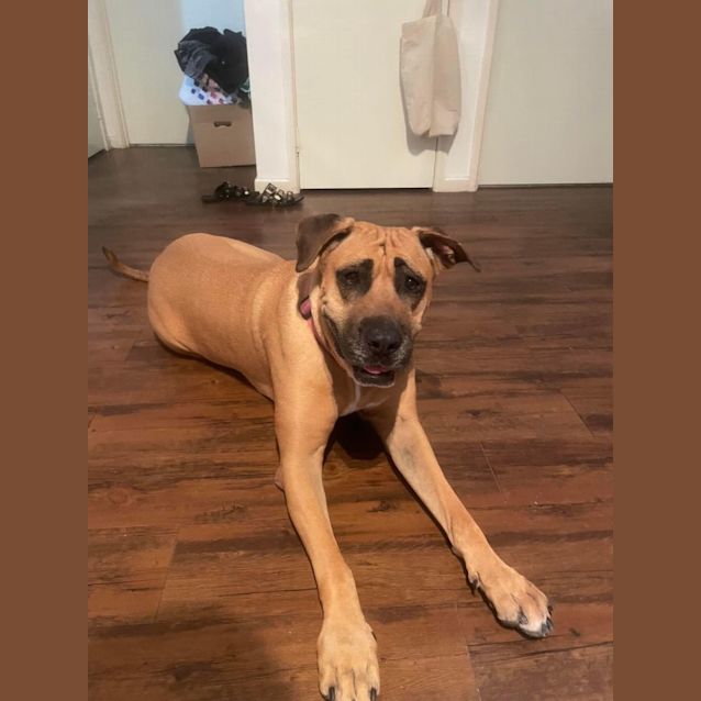 Photo of Sasha