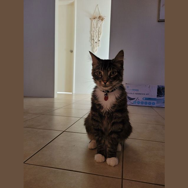 Photo of Gilbert