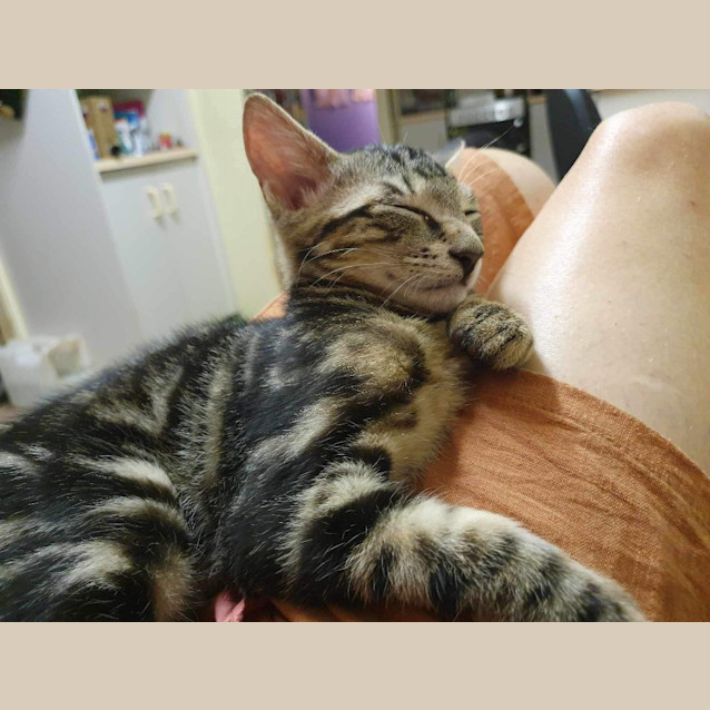 Photo of Gunther
