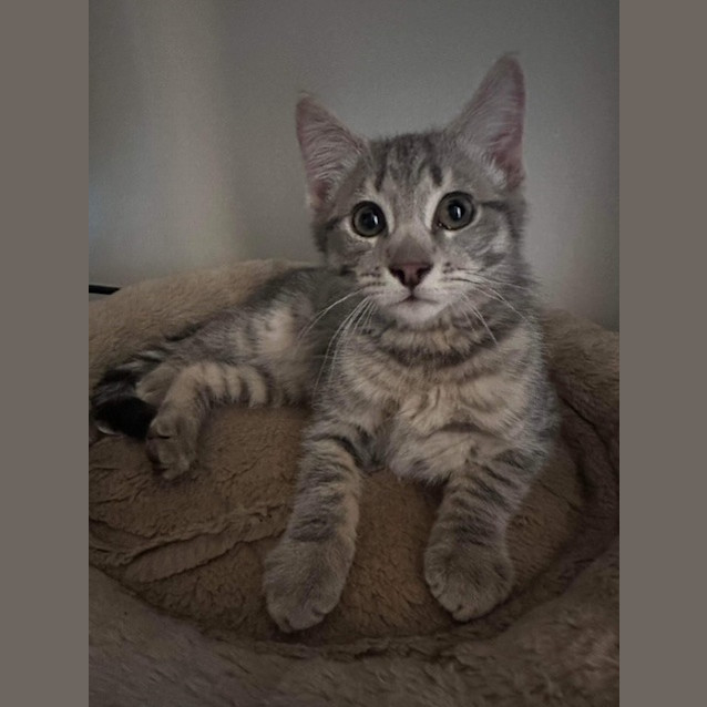 Photo of Lenny