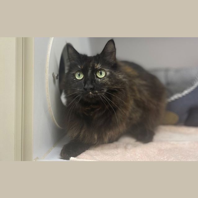 Photo of Sally