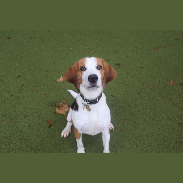 Photo of Archer