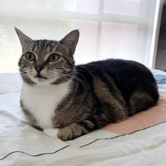 Photo of Ellie Sua010712