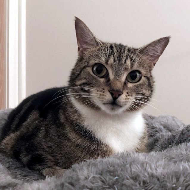 Photo of Ellie Sua010712