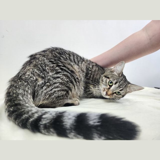 Photo of Carol🤶🎼