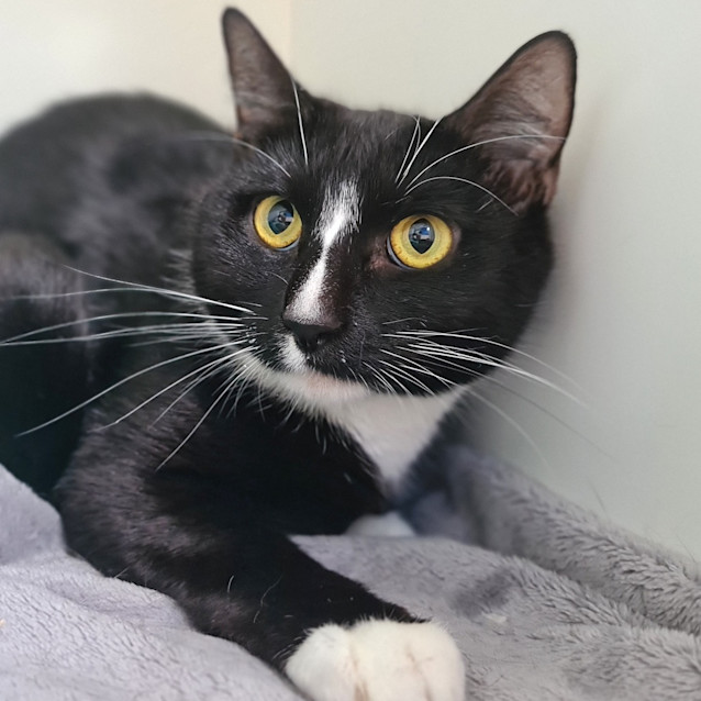 Photo of Flora