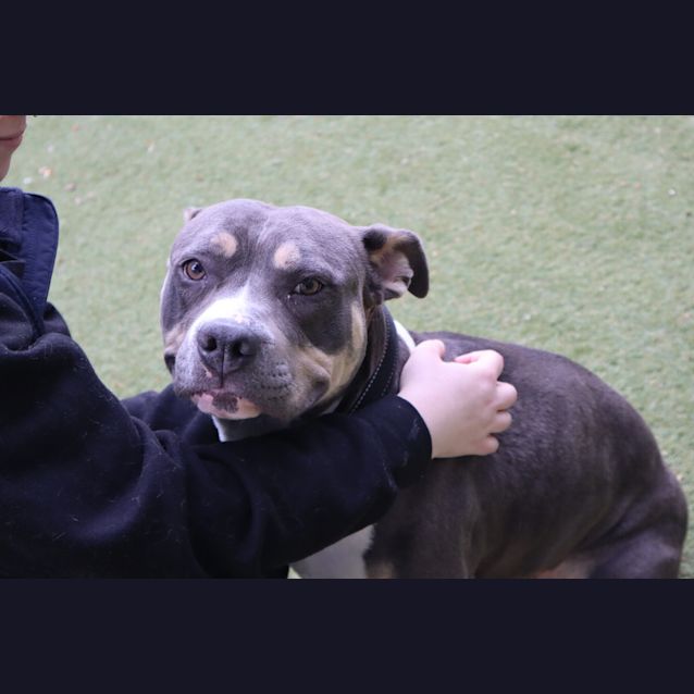 Photo of Delilah