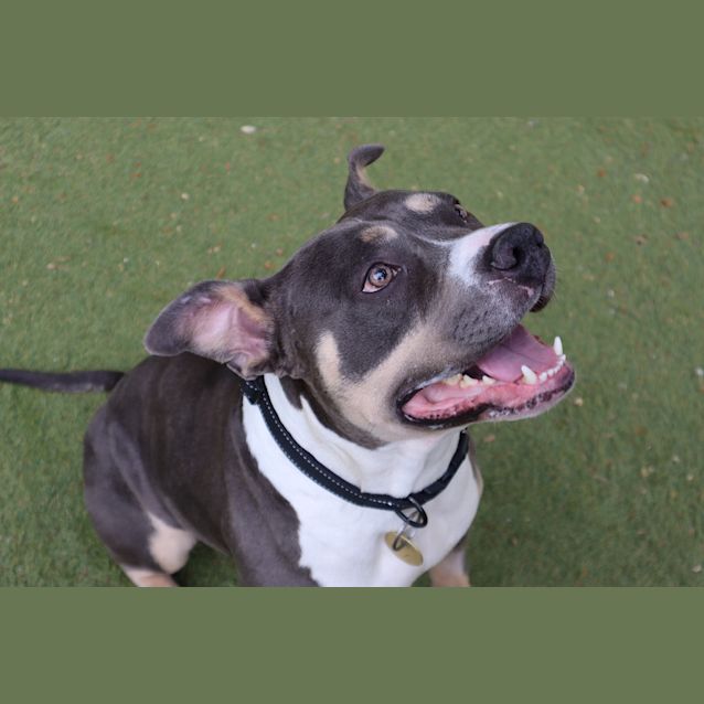 Photo of Delilah