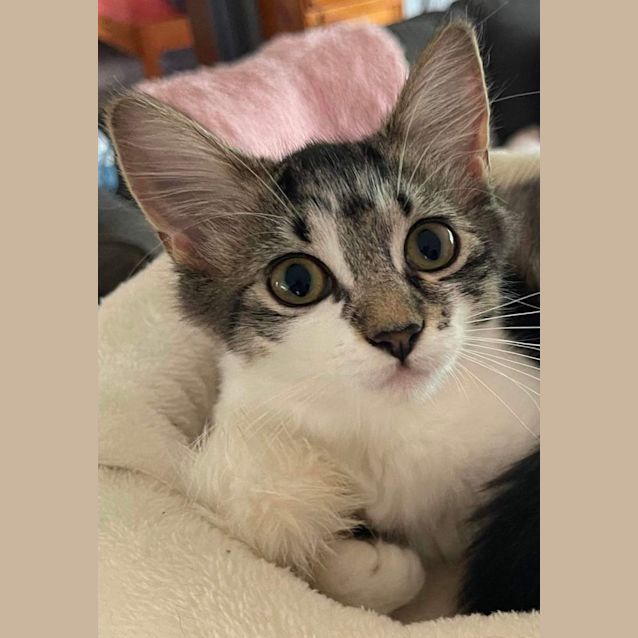 Photo of Fleur