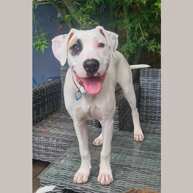 Photo of Patch
