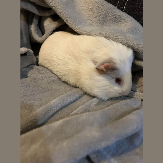 Photo of Bounty