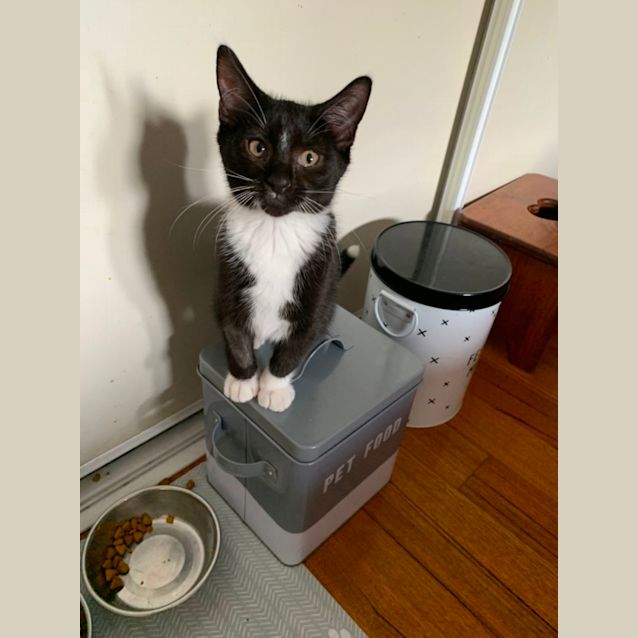 Photo of Tipsy