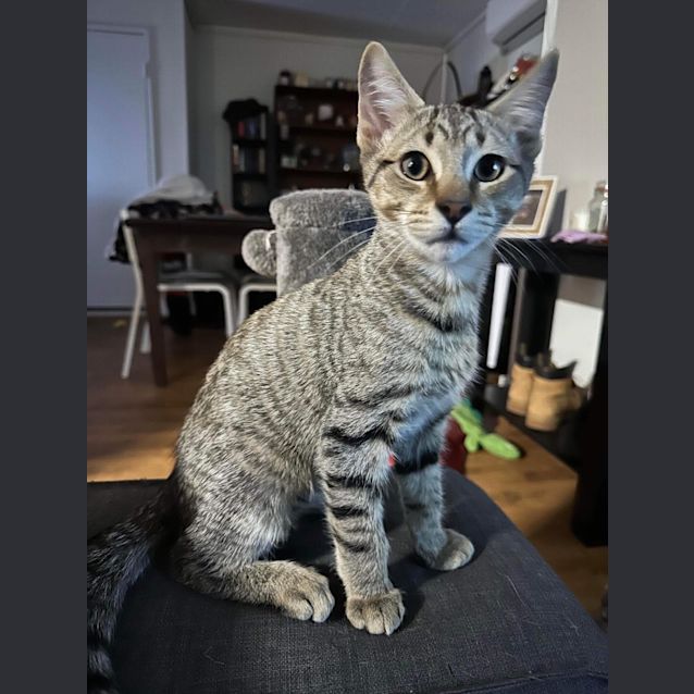 Photo of Larry
