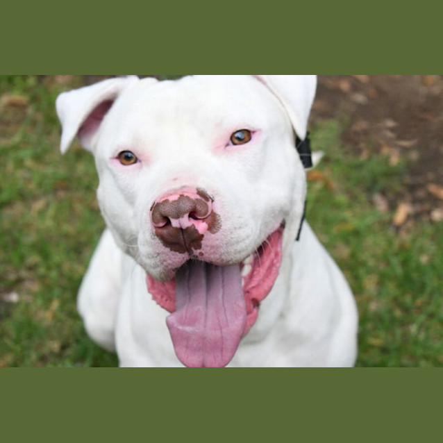 Photo of Jax
