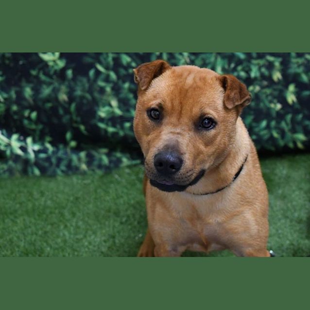 Photo of Sprinkles