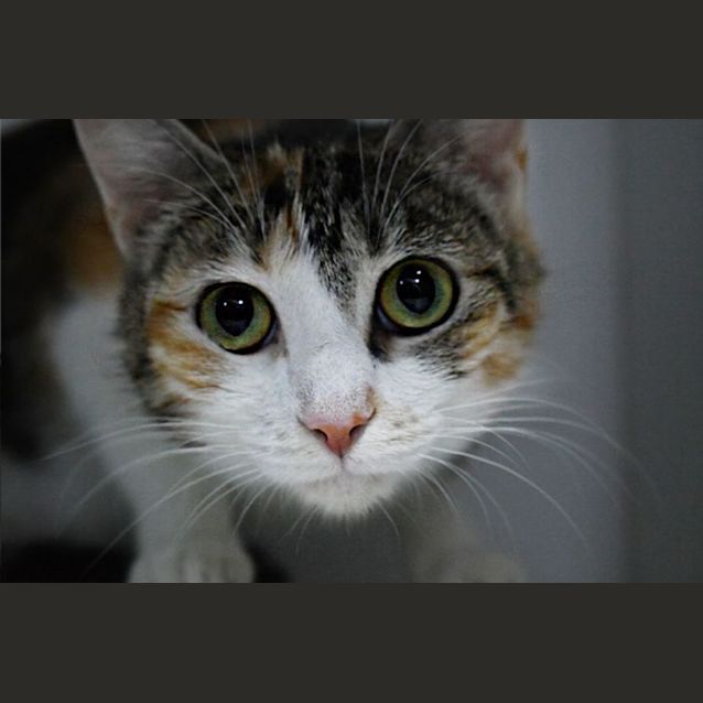 Photo of Katia