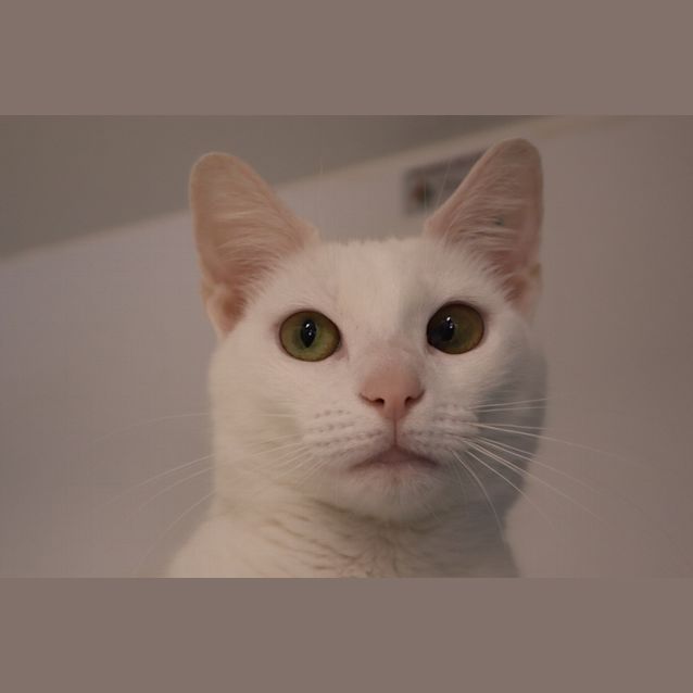Photo of Marie