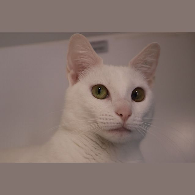 Photo of Marie
