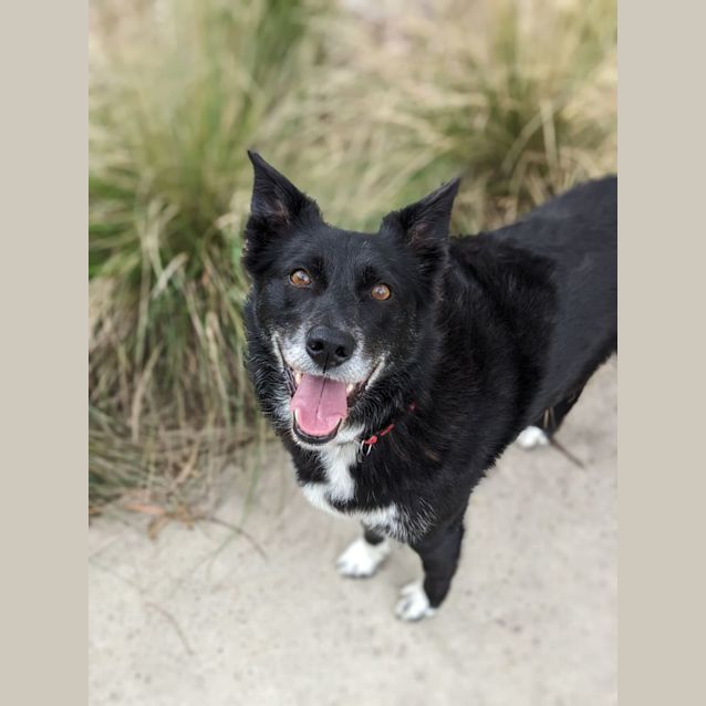 Photo of 🧨 Jessie C04744 🧨