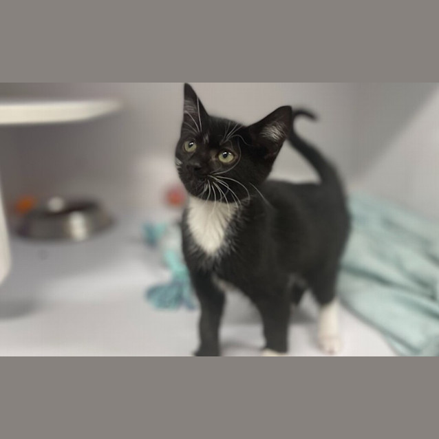 Photo of Sugar