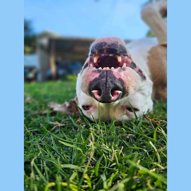 Photo of Leia