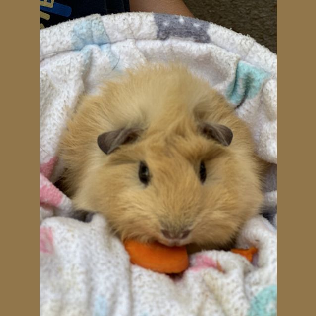 Photo of Colby