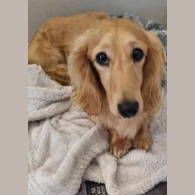 Photo of Bingo